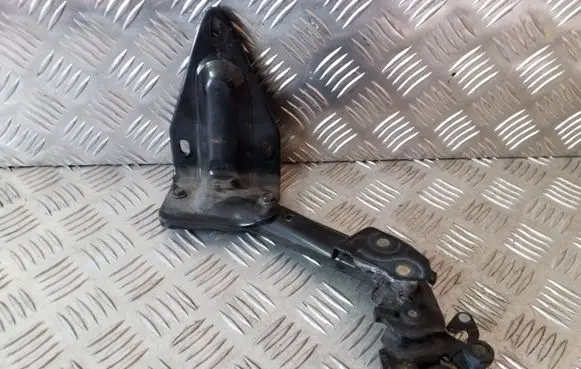 Chrysler Voyager Sliding door lower roller guide/hinge 