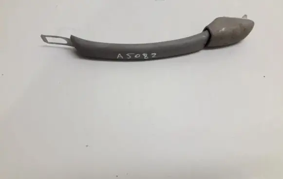 Citroen Xsara Picasso Front interior roof grab handle