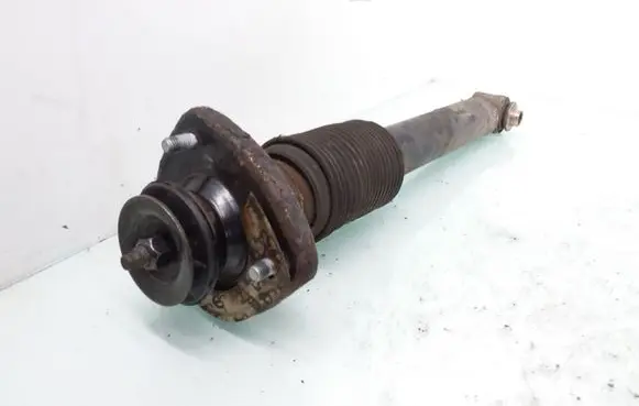 Rear shock absorber/damper