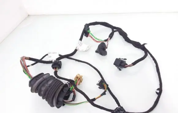 Front door wiring loom