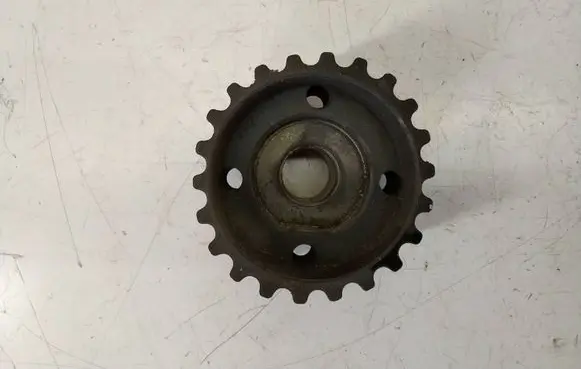 Volkswagen PASSAT B6 Crankshaft position gear 038105263H