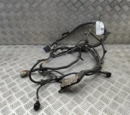 Tesla Model S Other wiring loom 200443005A