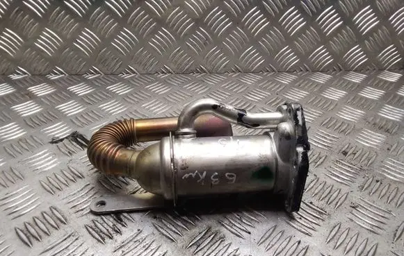 Renault Megane II EGR valve cooler