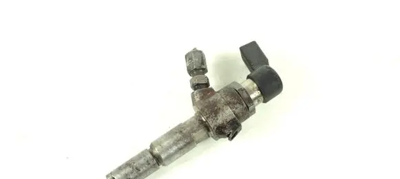 Ford Fiesta Fuel injector 9663429280 5WS40149Z