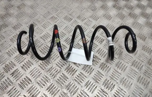 Rear coil spring