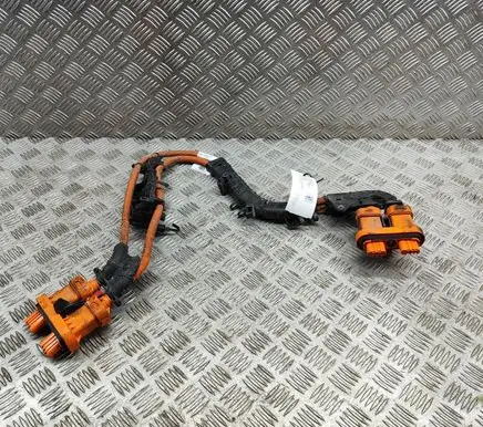 Volkswagen ID.4 Other wiring loom 1EA971015AA