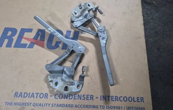 Volkswagen PASSAT B6 Engine bonnet/hood hinges
