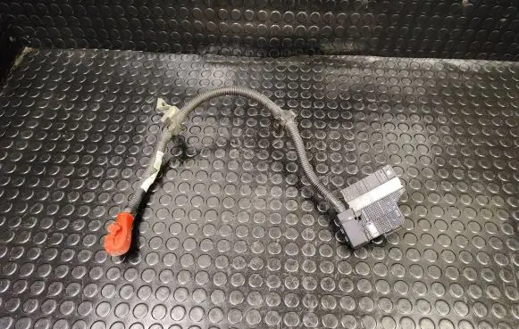 Nissan Leaf I (ZE0) Other wiring loom 241053nf0a