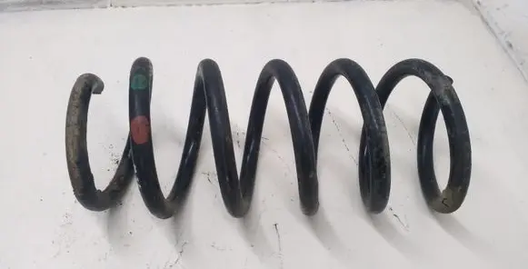 Front coil spring