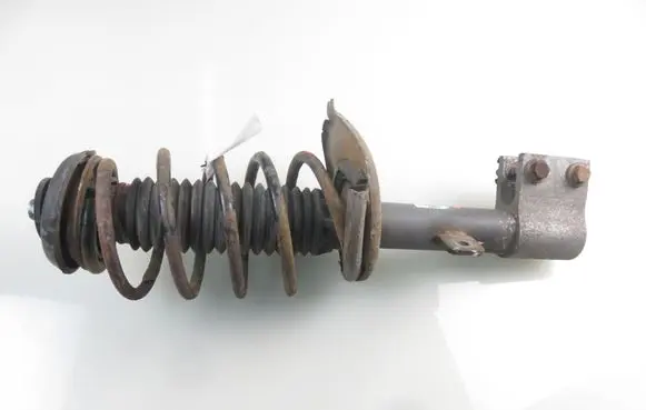 Citroen C4 II Front shock absorber with coil spring 