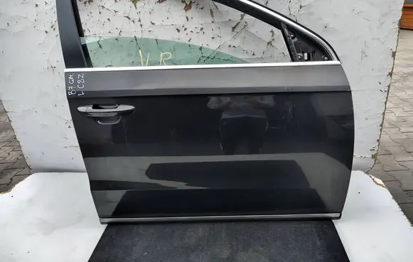 Volkswagen PASSAT B7 Front door 