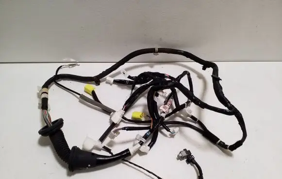 Front door wiring loom