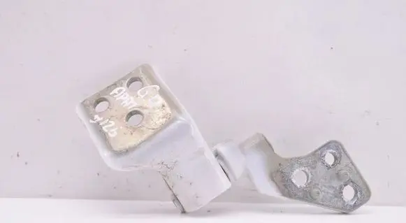Citroen Berlingo Rear door lower hinge 018031820