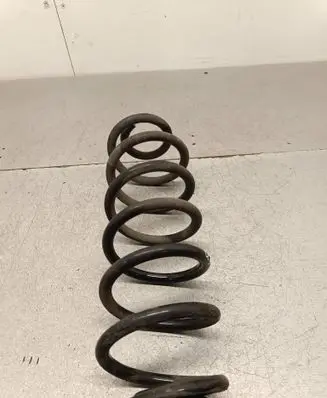 Rear coil spring