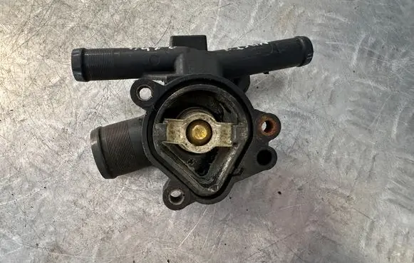 Thermostat/thermostat housing