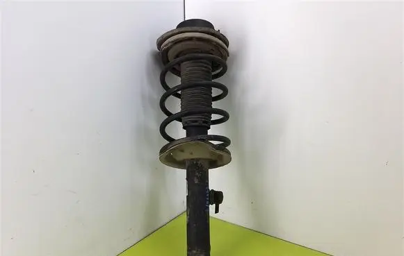 Peugeot 206 Front shock absorber with coil spring