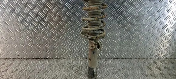 Volkswagen PASSAT B6 Front shock absorber with coil spring 