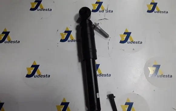 Opel Astra H Rear shock absorber/damper 72119053 0436281