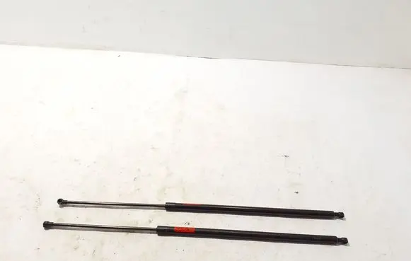 Opel Vivaro Tailgate strut 844324422R