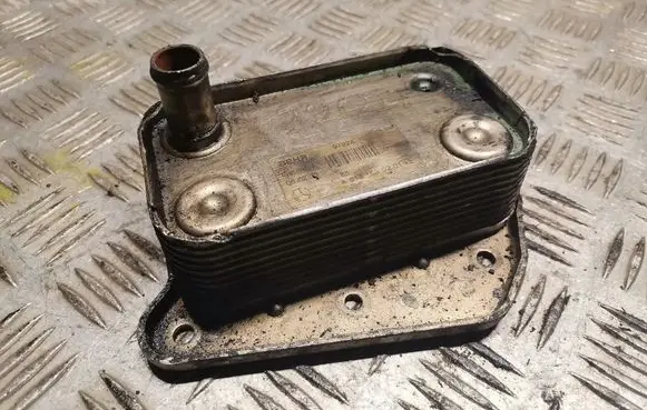Mercedes-Benz S W220 Gearbox / Transmission oil cooler 6131880201