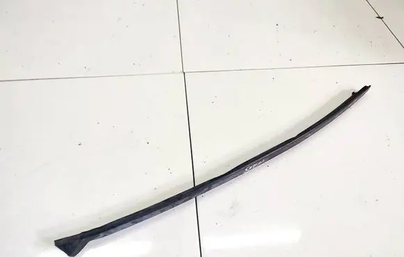 Chrysler 300 - 300C Front door glass trim molding 