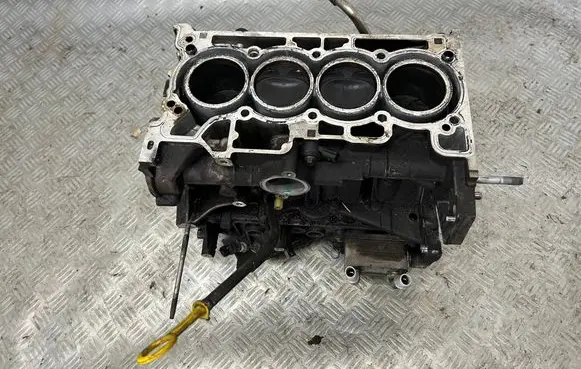 Nissan Juke I F15 Engine block 110112878R