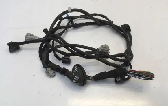 Nissan Leaf II (ZE1) Other wiring loom