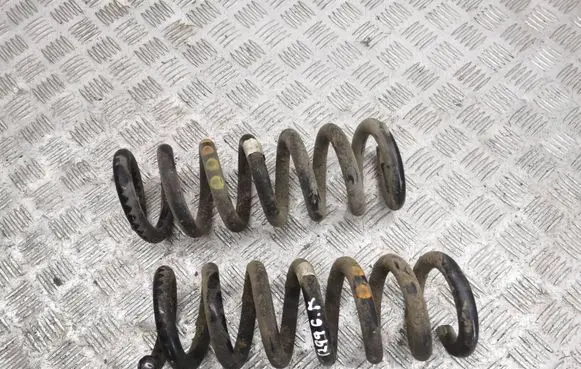 Rear coil spring