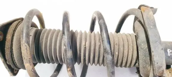 Front coil spring