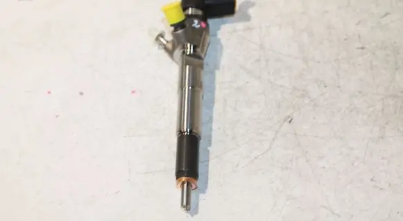 Nissan Juke I F15 Fuel injector H8201100113 166006212R
