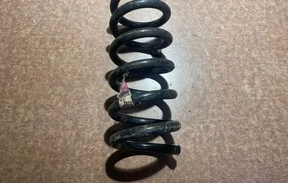 Ford Mustang VI Rear coil spring FR3C5560HC