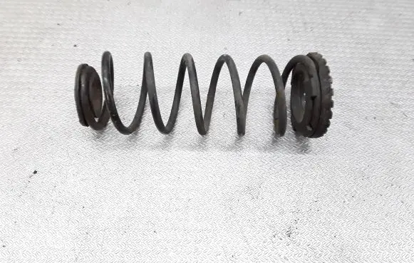 Hyundai Getz Rear coil spring