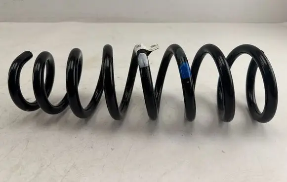 Rear coil spring