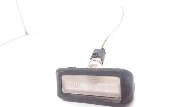 Number plate light