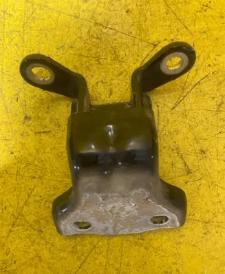 Chevrolet Captiva Rear door lower hinge
