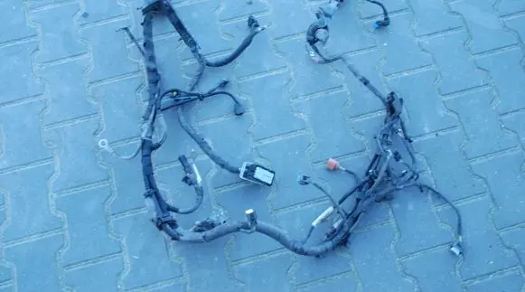 Ford Ecosport Engine installation wiring loom DV2T12A522