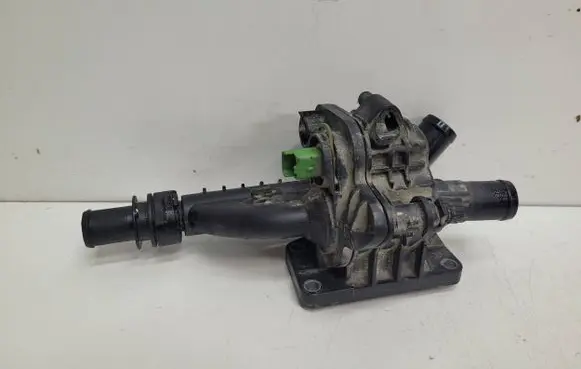 Thermostat/thermostat housing