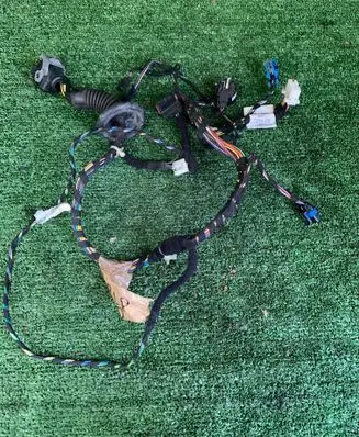 Other wiring loom