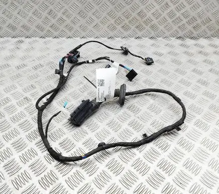 BMW X2 U10 Front door wiring loom 5B32191