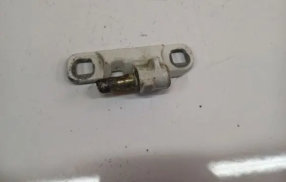 Rear door lower hinge