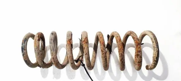 KIA Ceed Rear coil spring 