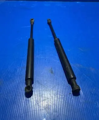 Tailgate strut