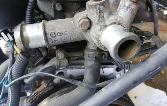 Audi A3 S3 8L Engine coolant pipe/hose