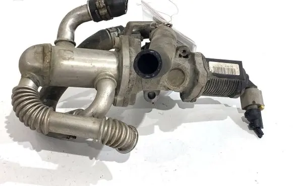 EGR valve