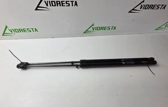 Tailgate/trunk strut/damper