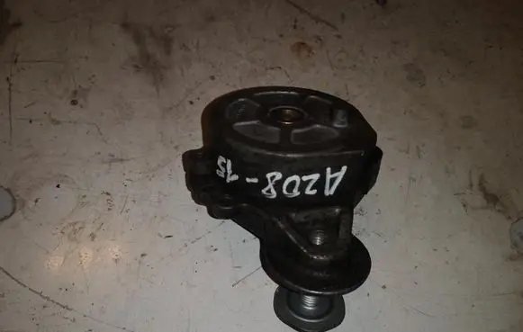 Volvo V50 Timing belt tensioner 505424