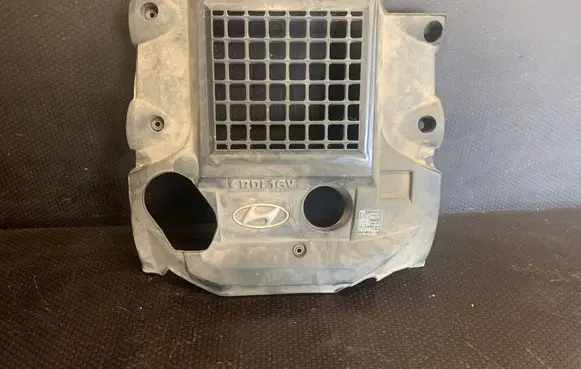 Hyundai Terracan Engine cover (trim) 292404X700