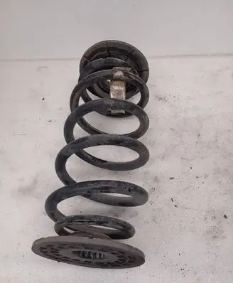 Rear coil spring
