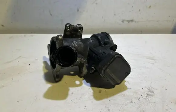 EGR valve
