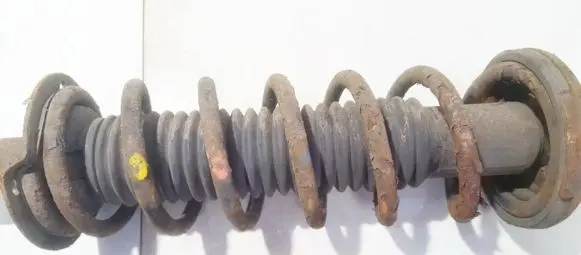 Honda Accord Rear coil spring